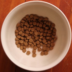 Acana kutyatáp